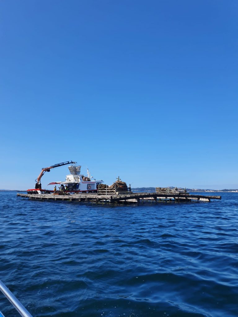 Visita a las bateas durante la excursión en barco a la Isla de Areoso