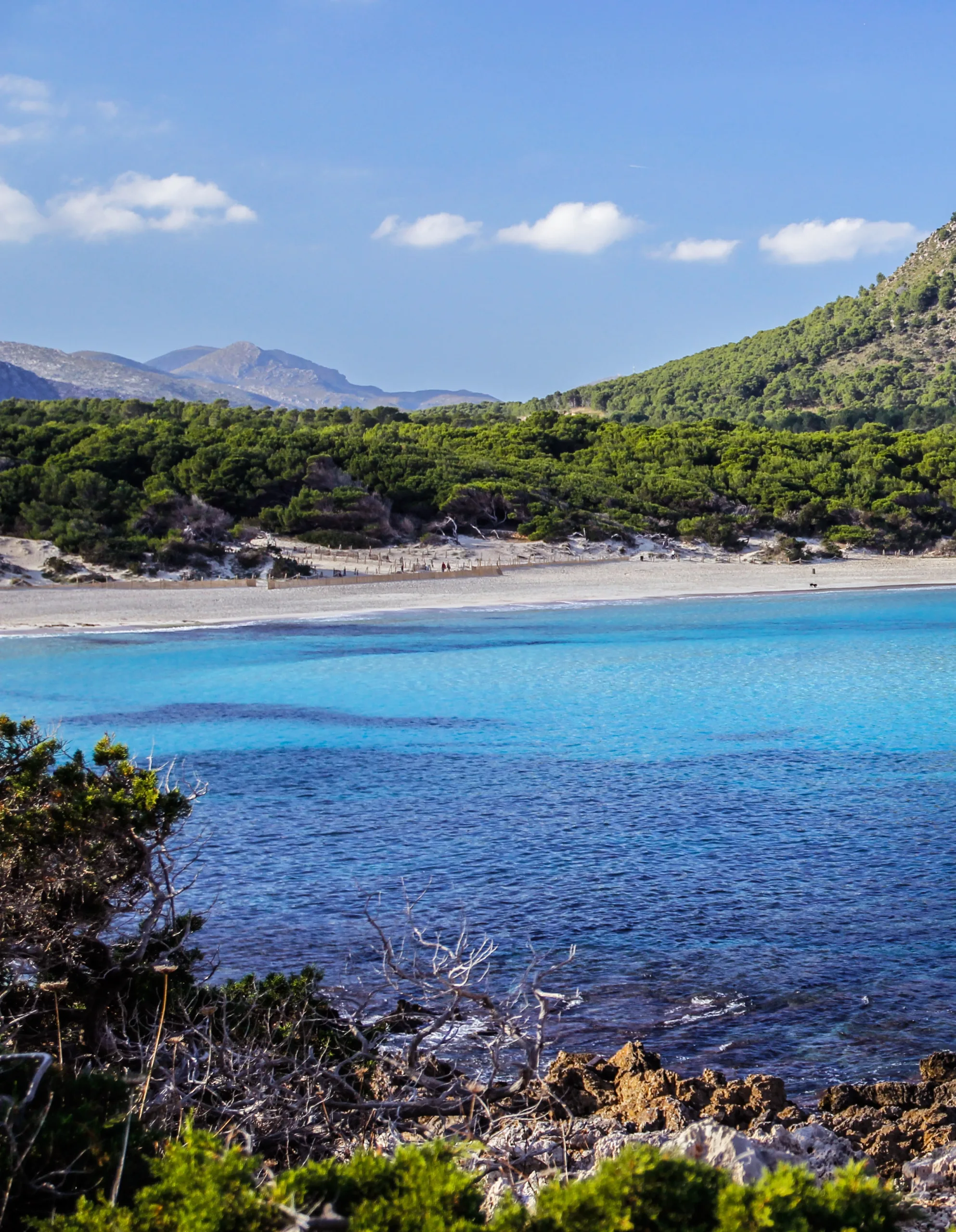 Cala Agulla es una de las mejores playas de Mallorca