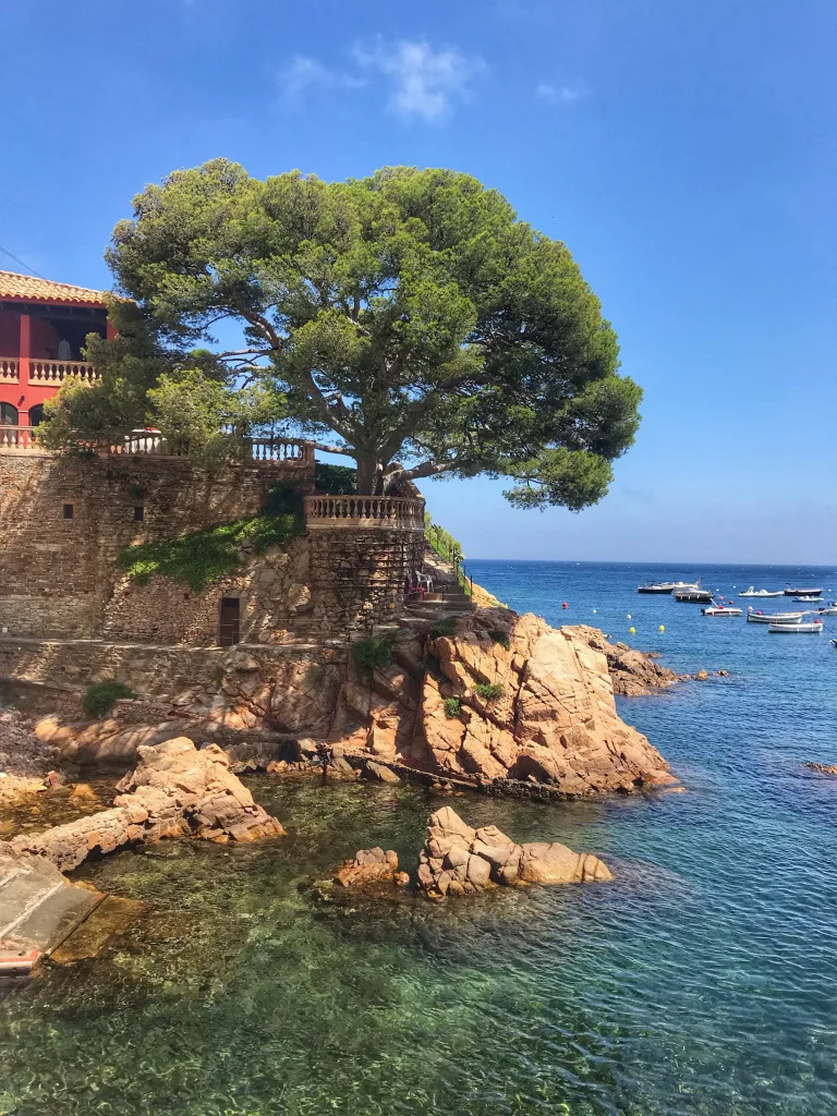 Cala Fornells es una de las mejores payas para disfrutar de unas vacaciones en Mallorca