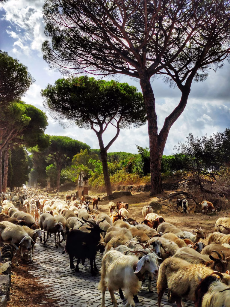 Via Appia, una de las zonas que ver en Roma
