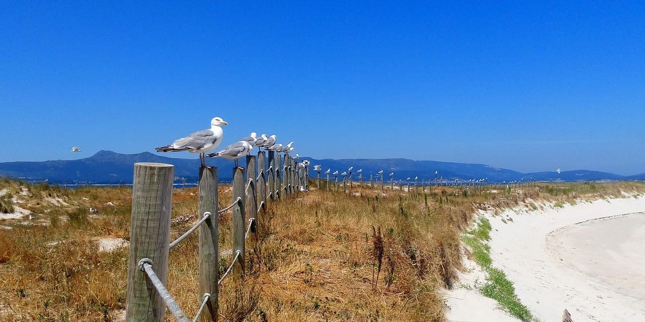 Visitar la Isla Areoso, un pequeño paraíso en Galicia