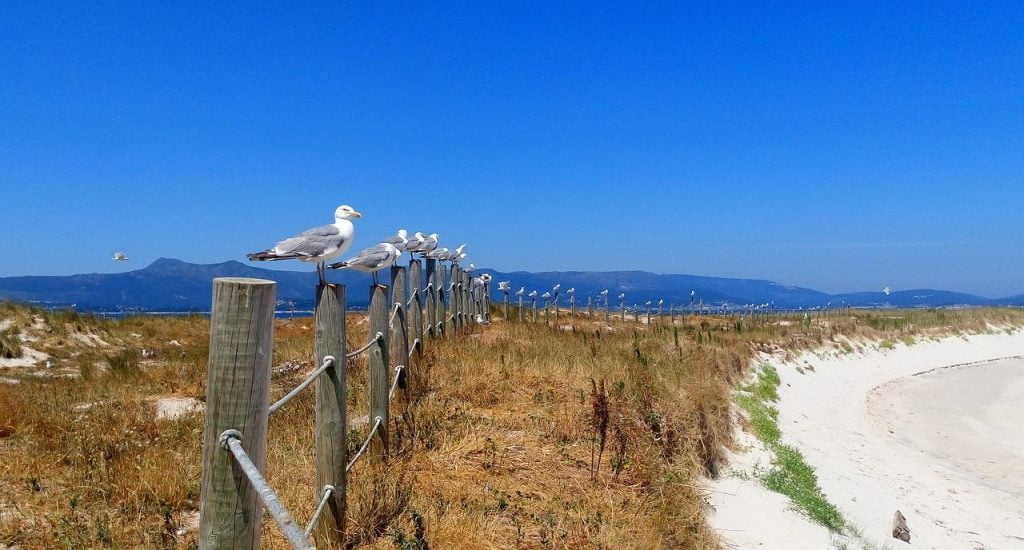 Visitar la Isla de Areoso